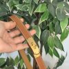Camel brown (gold hardware)