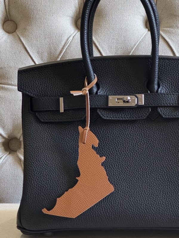 UAE map charm