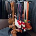 Charms