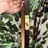 Dark brown (gold hardware)